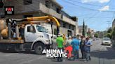 Agua contaminada con turbosina afecta a colonias de la alcaldía Gustavo A. Madero y del Edomex