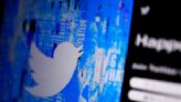Top firm advises pausing Twitter ads after Musk takeover