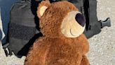 Lincoln Police looking to reunite lost teddy bear with owner
