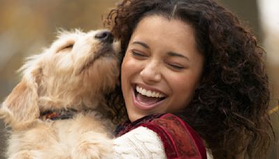 No deberías dejar que tu perro te lama la cara o la boca: un veterinario explica por qué