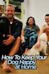 How To Keep Your Dog Happy at Home