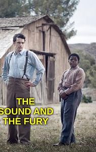 The Sound and the Fury (2014 film)