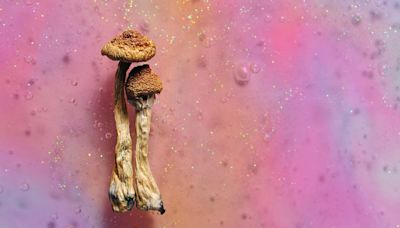 Magic Mushrooms Desynchronize Your Brain For Up To Three Weeks