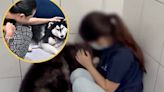 Abused husky rescued after viral video, owner files police report demanding his dog back (VIDEO)