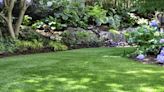 6 Tips for Keeping Your Lawn Green in the Summer Heat