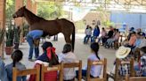 Campamento de Verano en Lienzo Charro El Refugio: Una Experiencia Ecuestre Única