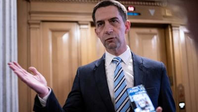 Watch: Tom Cotton Flails When Asked About Kamala Harris “Coup”