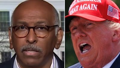 Michael Steele Hits Donald Trump Right Where It Hurts: 'That Is Your Truth'