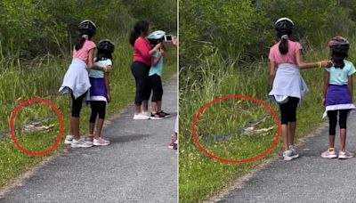 Watch: Parents Make Their Children Pose Next To Alligator For A Pic In US, Internet Is Livid