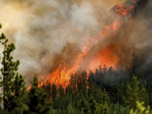 La emisión de CO₂ de los incendios forestales de Canadá en 2023 cuadruplicaron a las de los aviones