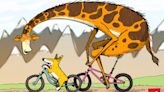 How to Choose the Right Size Mountain Bike in 2023