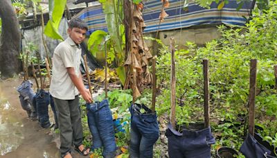 With discarded trousers and shirts as garden containers, 13-year-old from Karumalloor shows the way