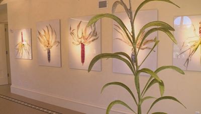 From fireworks to food: Surprising uses of corn highlighted in new exhibit