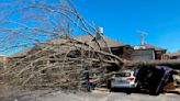 32 dead as tornadoes torment from Arkansas to Delaware