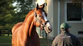 Catalina Cruiser is Lone Second-Crop Sire in KY Derby