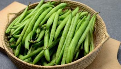 Public advised to cook beans after ‘low, but persistent’ cases of foodborne illness