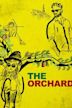 The Orchard