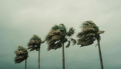 Tropical disturbances over Atlantic Ocean worries hurricane experts, here's when next storm may hit