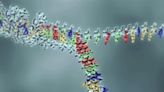 Clever DNA tricks