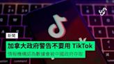 加拿大政府警告不要用 TikTok 情報機構認為數據會被中國政府存取