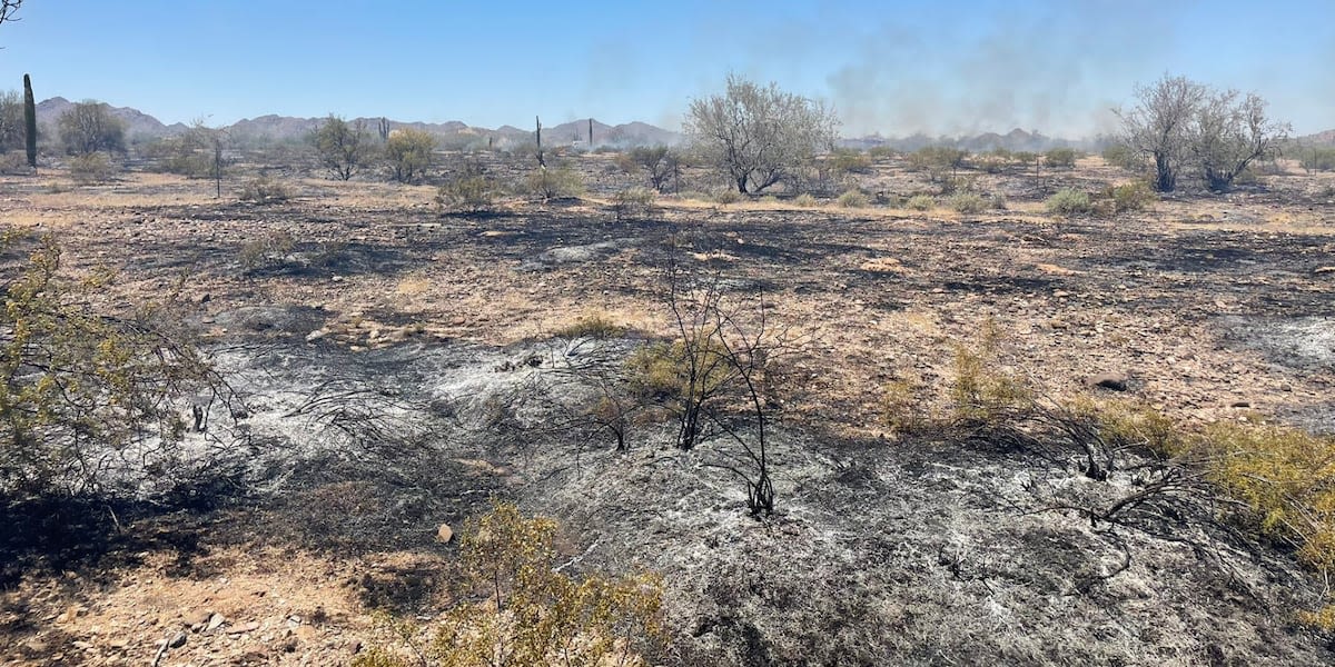 Dozens of firefighters battling Beehive Fire south of Maricopa
