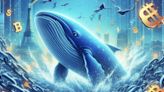 Chainlink Whale Accumulation Sparks Potential for Major Price Reversal - EconoTimes