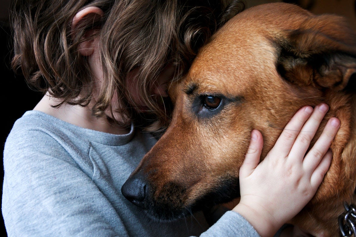 Dogs Can Smell Your Stress, and It Seems to Make Them Sad