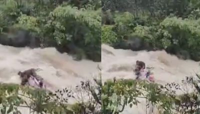 Family of 7 Swept Away In Torrential Lonavala Waterfall; Viral Video Captures Horrific Scene