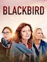 Blackbird (2019 film)