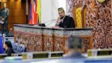Deputy Speaker moots constitutional amendment to close loophole in Orang Asli law