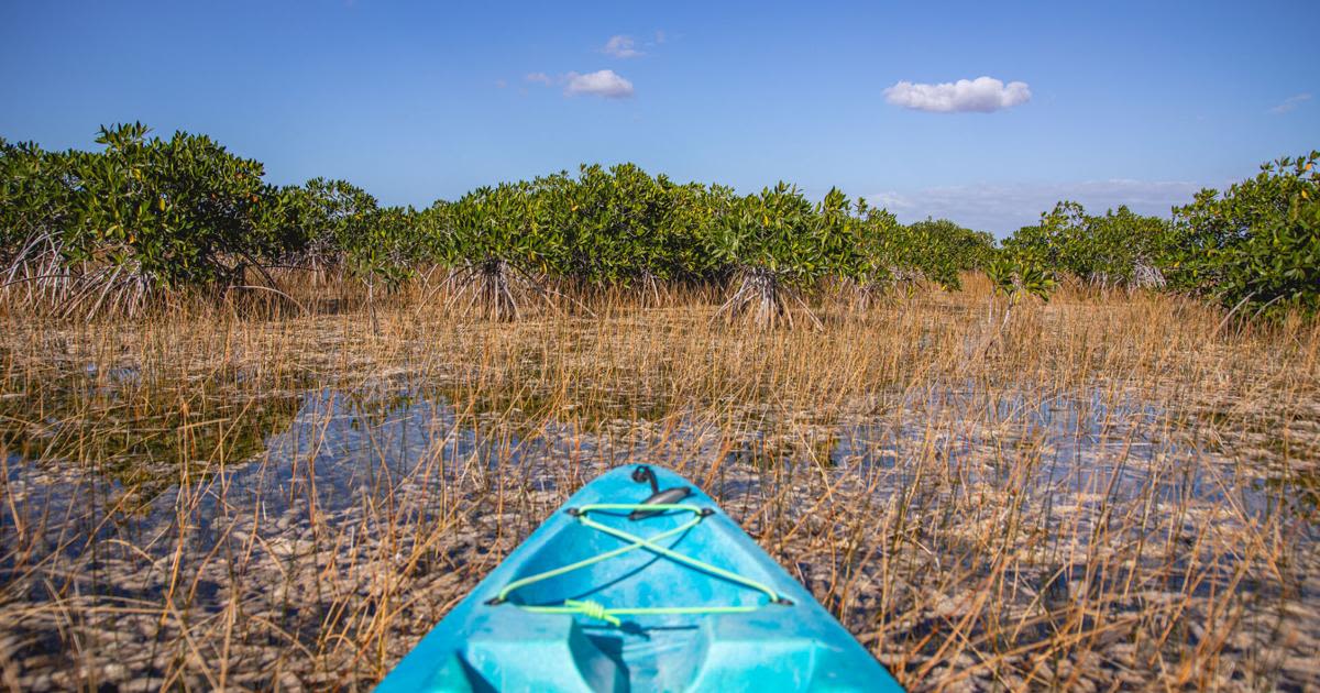 Florida to spend $1.5B in additional funds for Everglades, water quality