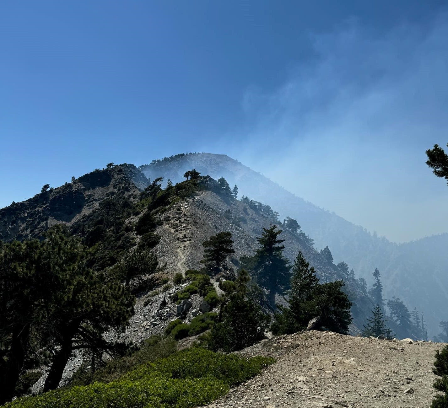 Vista Fire containment increased to 31%