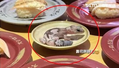 壽司郎才被「舔崩」160億！台灣女學生守宮放醬料碟 最新股價曝光