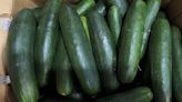 Cucumbers that were shipped to 14 states recalled over salmonella concerns