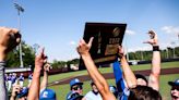 IHSA baseball playoffs 2022: Predicting the Class 1A and 2A Illinois state finals