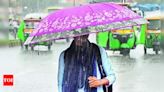 Light to moderate rain forecast in Jharkhand till Sunday: IMD | Ranchi News - Times of India