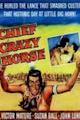 Chief Crazy Horse