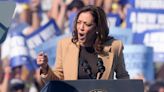 Polling expert who has correctly called US elections for 40 years says Kamala Harris will win in November