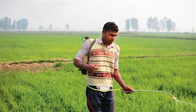 Punjab tops in use of fertilisers, 3rd in pesticide consumption