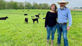 Honey Creek Beef farm's success spurred by focus on animal comfort, genetics and feed