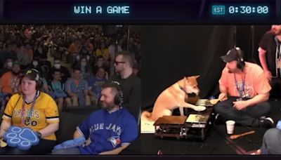 Peanut Butter the dog finishes Ken Griffey Jr speedrun at SGDQ with a walk-off home run in extra innings