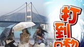 增9颱風新名「青馬」港人最熟悉 「鮎魚」等破壞力驚人須除名
