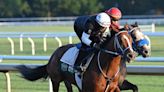Mystik Dan's Strong Gallop-Out Boosts McPeek's Confidence One Week Before Belmont