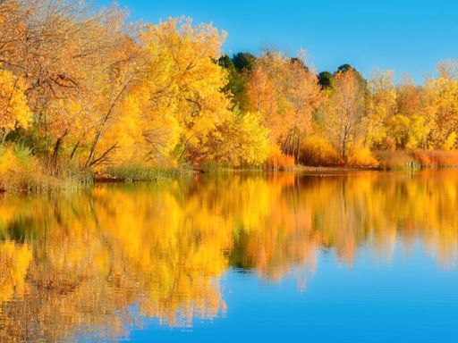 Ultimate Leaf Peeping Guide: When and where to catch Colorado's peak fall colors