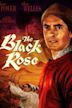 The Black Rose