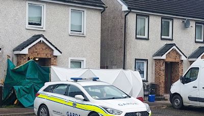 Man in custody after fatal assault in Kerry town