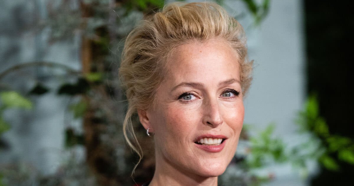 Gillian Anderson takes brutal aim as she is mistaken for Conservative MP