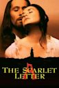 The Scarlet Letter (1995 film)