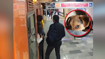 Metro de CDMX se detiene para salvar a un perrito de las vías; retrasos en la Línea A, 2, 7 y 12