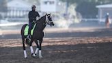 Your Complete Guide to the 150th Running of the Kentucky Derby